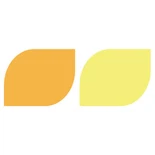 Pigmentas geltonas 12